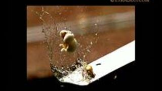 Popcorn w bardzo zwolnionym tempie!