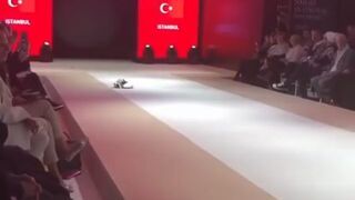 Kot na pokazie mody w Stambule