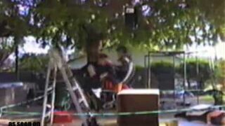 Idioci bawią się w wrestling