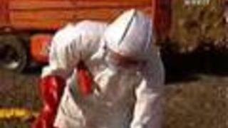 Braniacy - Kebab dla leniwych