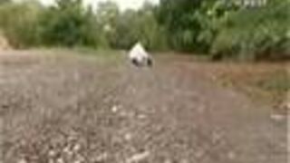 Braniacy - Ciekły azot + termofor