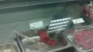 Kot w supermarkecie się objada