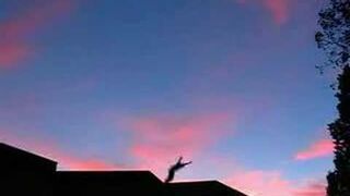 David Belle - Le Parkour