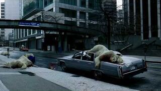 Niedźwiedzie polarne spadają z nieba!