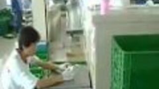 Świetlówka Czy Żarówka Tradycyjna?