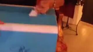 Dostała swojego zagubionego misia z dzieciństwa