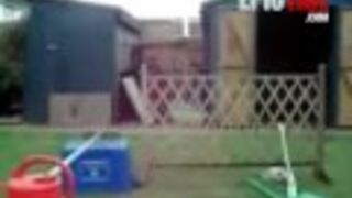 Dog Training Fail