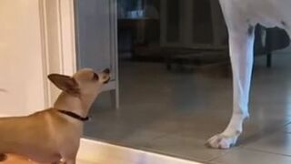 Jak ja dobrze to znam