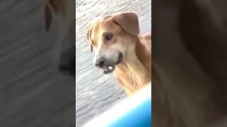 Tak to już na tym świecie jest