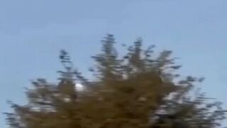 Zaraz wszyscy i tak powiedzą, że to AI 🤣