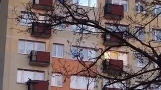 Masz mnie zawieźć do Hebe i do Rossmanna