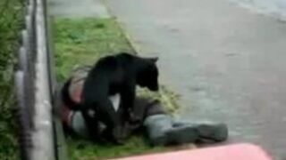 Kolejna kompilacja wypadków