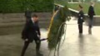 Janukowycz vs Wieniec