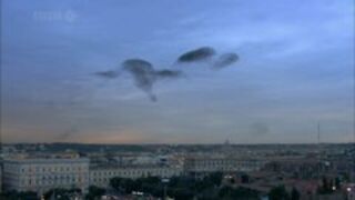 10 Milionów Ptaków