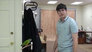 Papuga, który robi 20 różnych tricków w dwie minuty