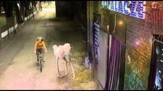 Tylko słabi gracze biorą dopalacze