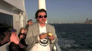 Mewa kradnie pączka