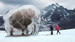 MAMUT MROŻONKI BOLERO