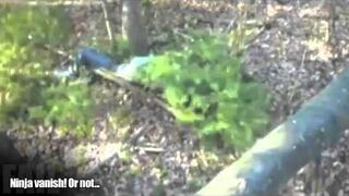 Ninja FAIL