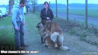 Dog Interview FAIL