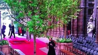 Wikariusz robi gwiazdy