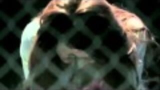 Japońska reklama sushi