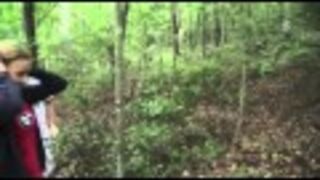 Parkour fail in the forest