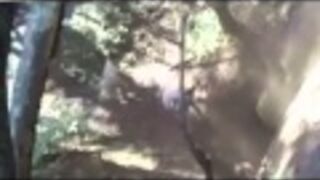 Głową muru nie przebijesz