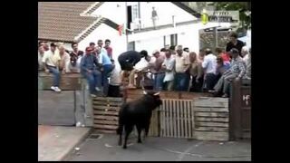 FAIL: bull vs sloppy humans Compilation