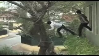 Tree Hugger FAIL
