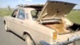 Jak przewozi się krowy w Rosji