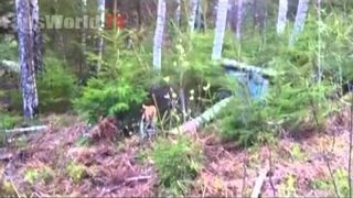 WEEKLY FAILS COMPILATION