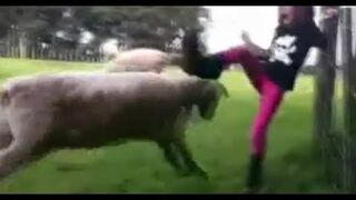 September Fail Compilation