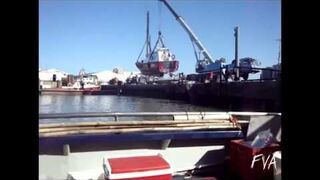 The Best of FVA Compilation