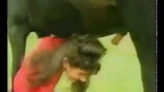 Koń narobił jej na głowę