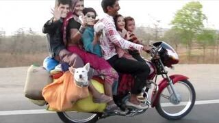 6 osób na motorze i pies