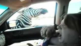 Fail Compilation - Styczeń 2012