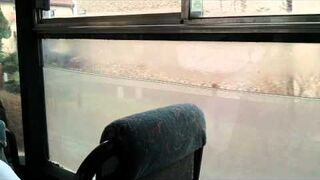 Akwarium w MZK TYCHY linia 25K