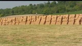 Wyskoczył bez spadochronu