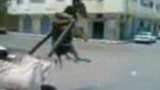 OSIOŁ NA SZALI! HIT!