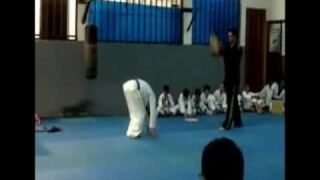 Pokaz taekwondo