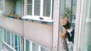 Neighbors always watching you