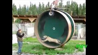 Kompilacja wykonana w sierpniu 2012