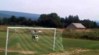 12 zawodnik na meczu Klonówki Masłów