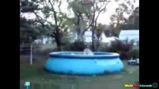 Kompilacja grubasków