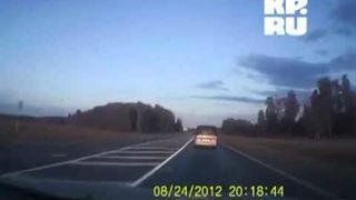 Niecodzienny widok na trasie