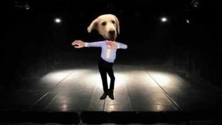 GANGAM STYLE PO POLSKU - MO PAN PIKNY KROJ