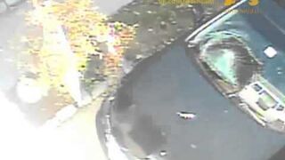 Rosyjski kot pancerny