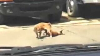 He died happy