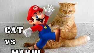 CAT vs MARIO
